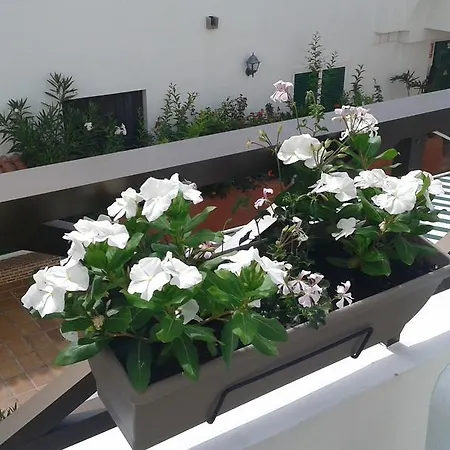El Piso Azul - Parque Don Jose' Апартаменты *
